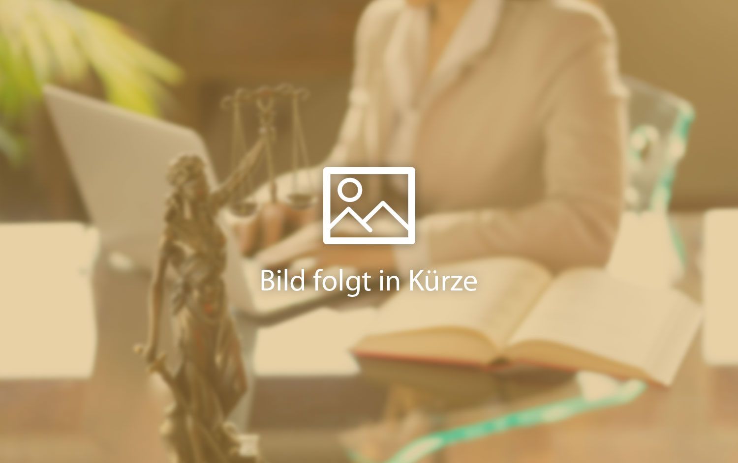 Bild folgt in Kürze